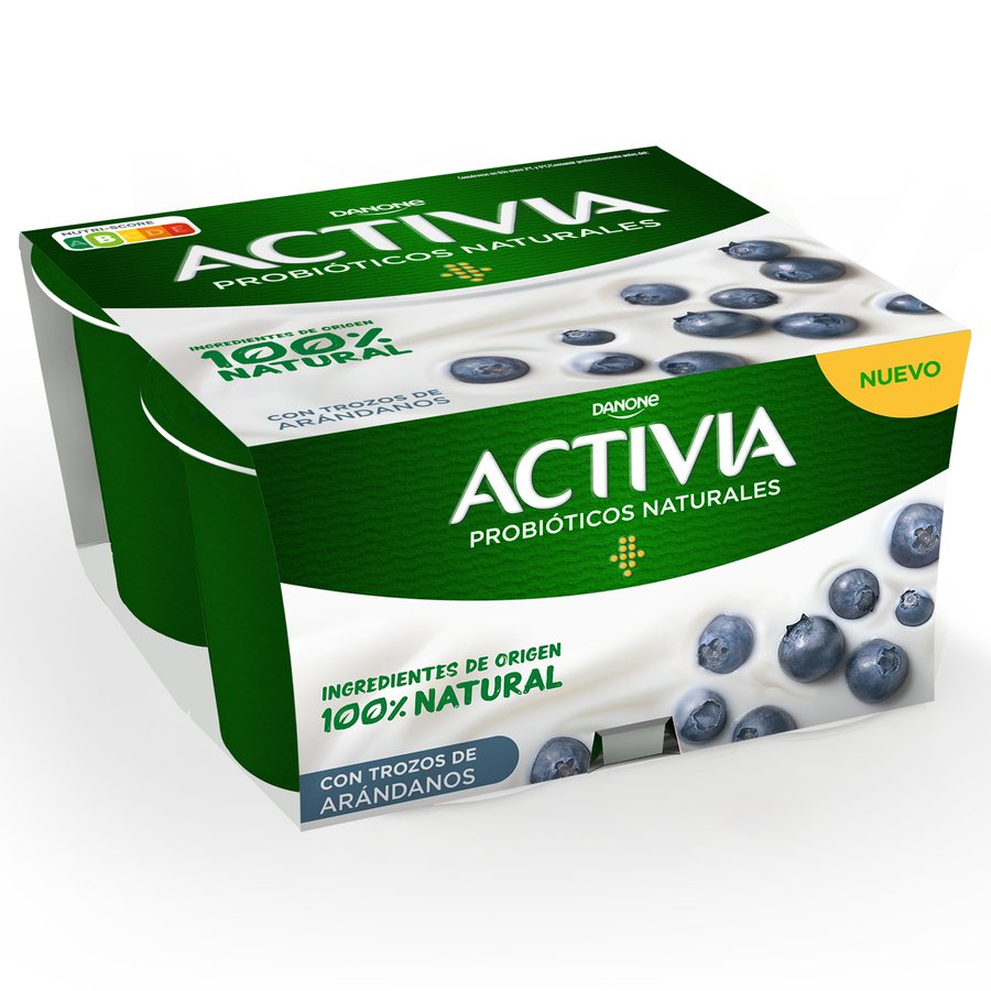 Bifidus ACTIVIA DANONE con arándanos lote 4x120 g