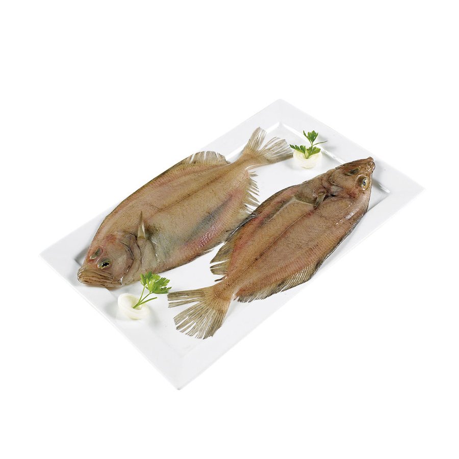 Gallito kilo