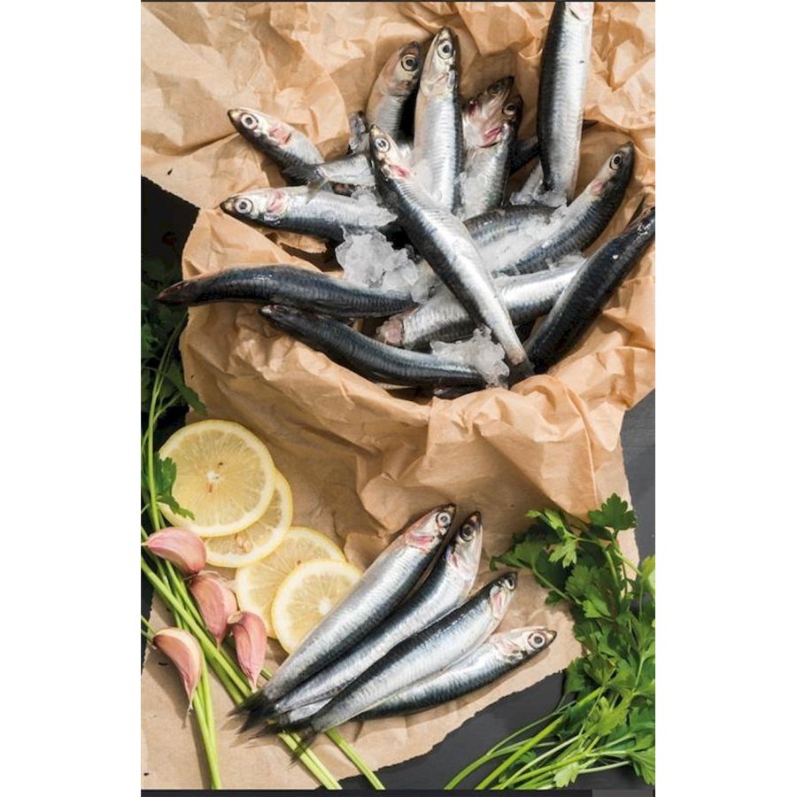 Boqueron/bocarte kilo