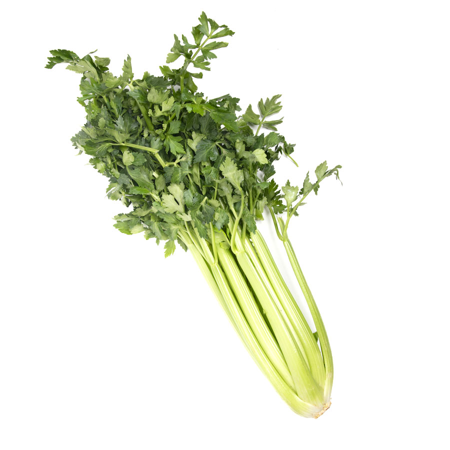 Apio verde 1ª kilo
