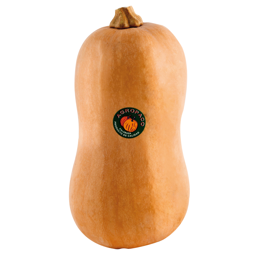 Calabaza violín entera 1ª (peso mínimo 1200g) kilo