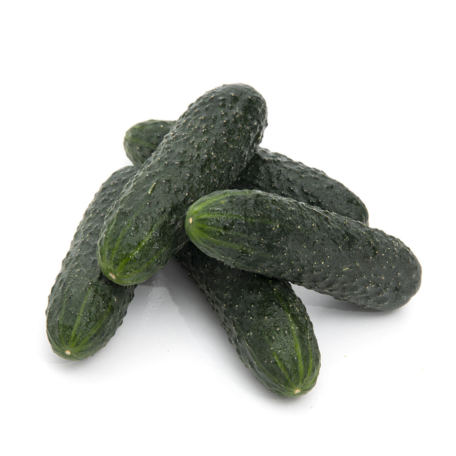 Pepino corto verde (calibre 10/18 cm) kilo