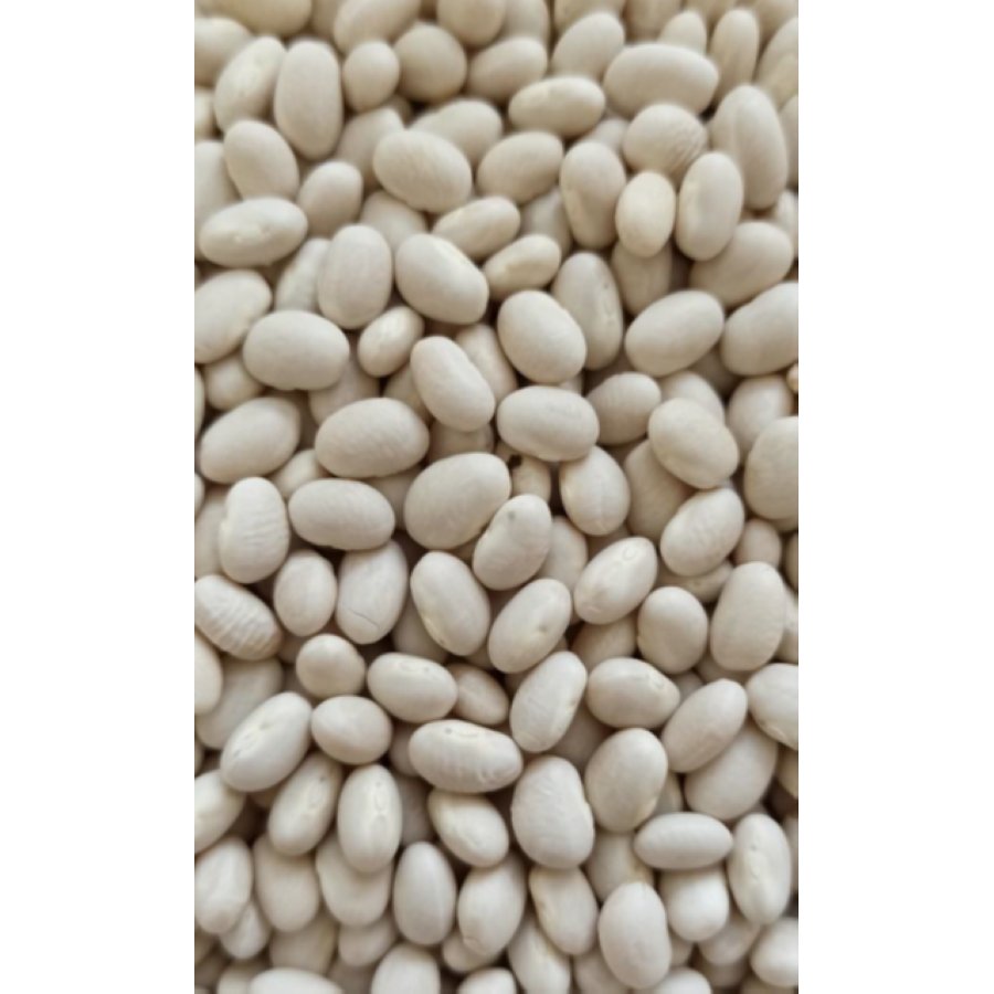 Alubia arrocina extra EL MARAGATO kilo