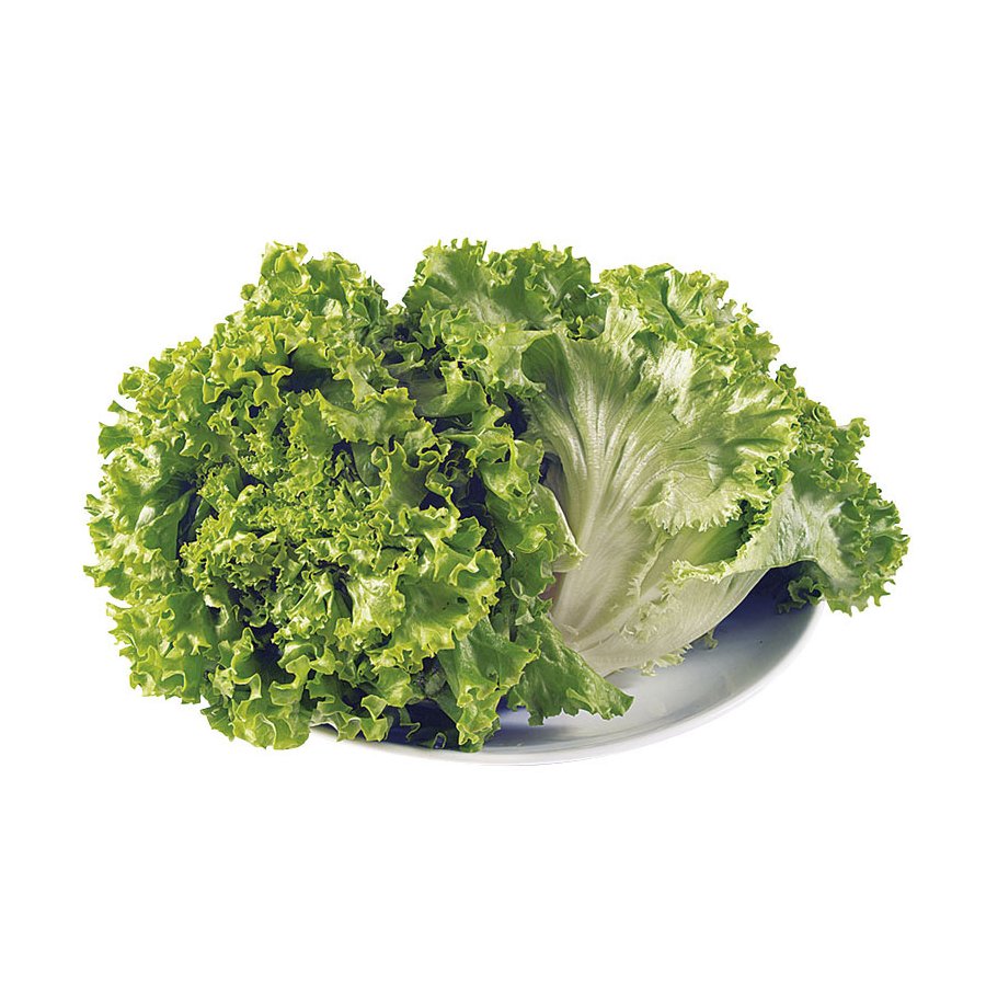 Lechuga rizada categoría 1ª (peso mínimo 200 g)