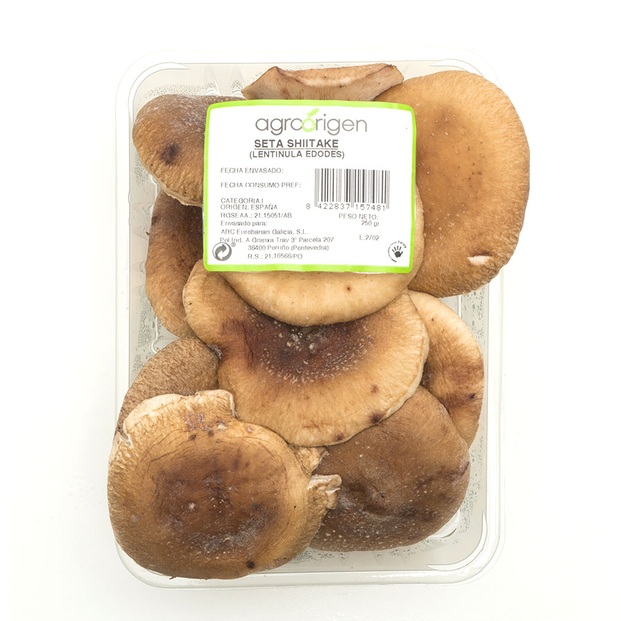 Seta Shitake categoría 1ª bandeja 250 g